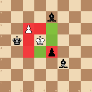king movement restriction with pieces