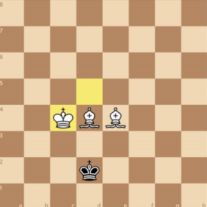 checkmate 2 bishops gif