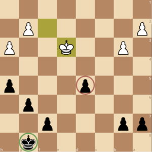 activated king in the endgame