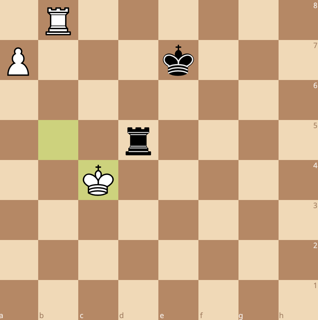 the pawn is supported by the rook