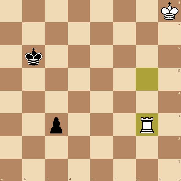 rook-endgame-principles